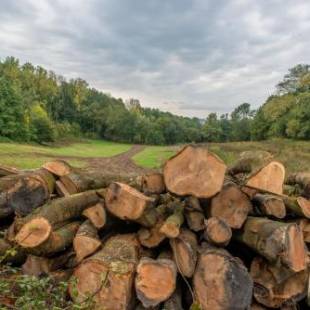 Фотографии гостевого дома
Domein De Kleine Mote