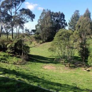 Фотографии мини отеля
Rolling Hills Country Stay B&B