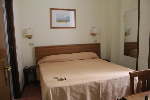 Фотография гостиницы Hotel Pomezia