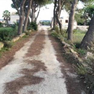 Фотографии мини отеля
Case vacanze Spagnola 106