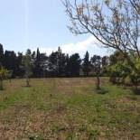 Фотография базы отдыха Azienda Agricola I Peperoncini