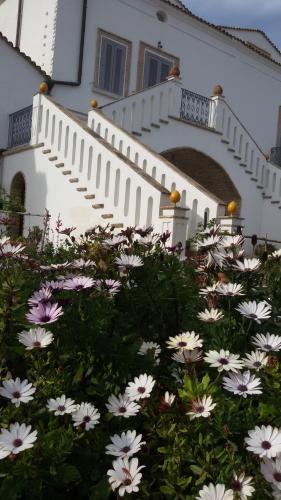 Фотография базы отдыха Masseria Celentano Relais & Agriturismo