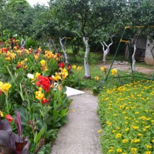 Фотография гостевого дома Kvariati Grand Guest House