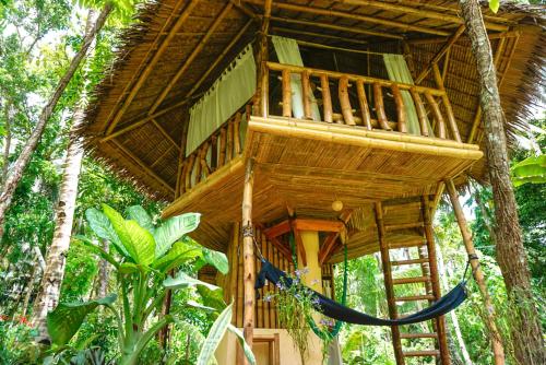 Фотография мини отеля Water to Forest Ecolodge