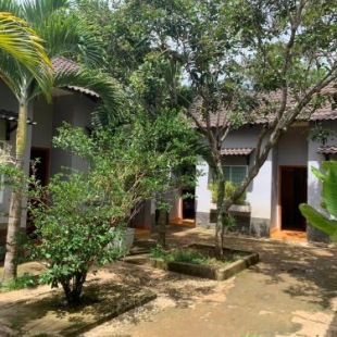 Фотография гостевого дома Bao Dien Guesthouse