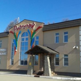 Фотография гостиницы Разгуляй