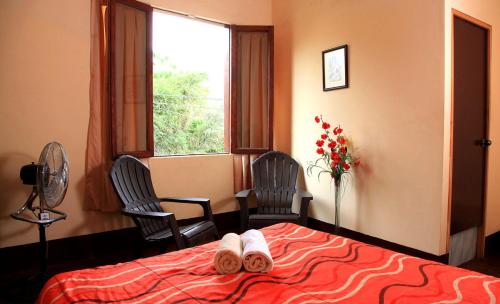 Фотография мини отеля Hostal Huacachina Sunset