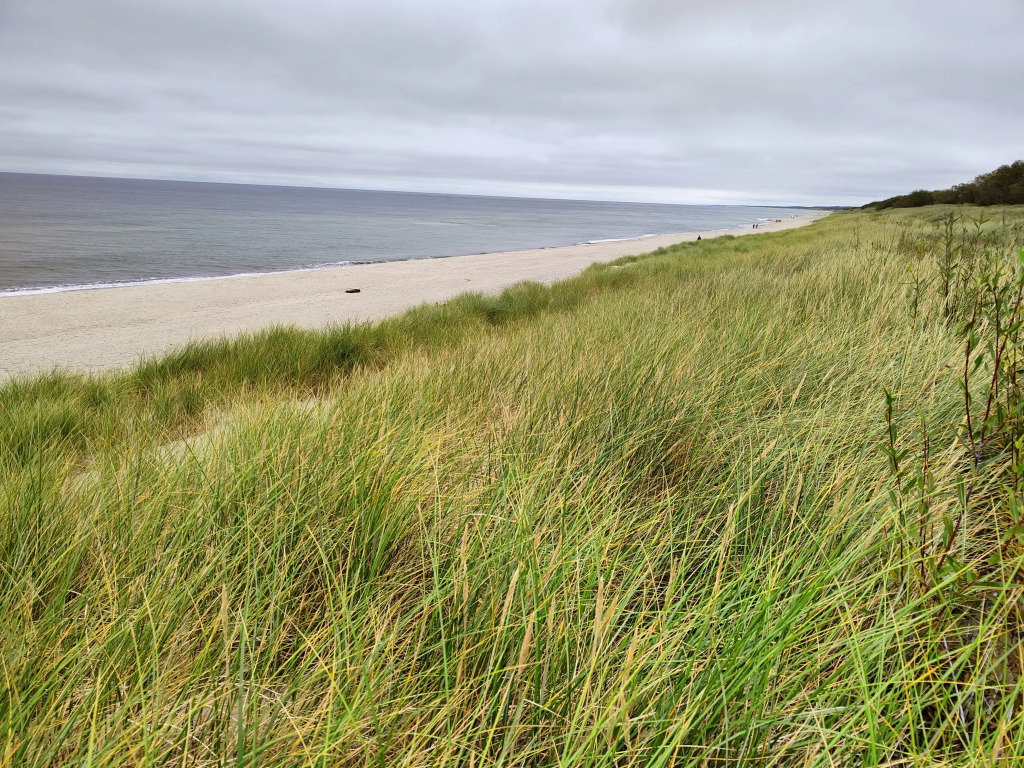 Фотография квартиры Квартира Sand