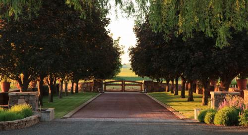 Фотография мини отеля The Inn at Abeja