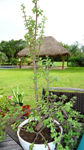 Фотография мини отеля B&B Mom's House