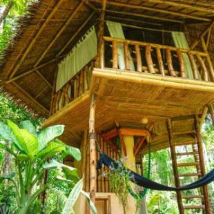 Фотографии мини отеля 
            Water to Forest Ecolodge