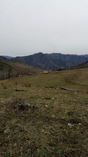 Фотографии гостевого дома 
            Robinzon04rus