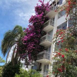 Фотографии гостиницы
Hotel Appel