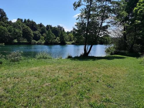 Фотография гостевого дома Family & Friends apartments