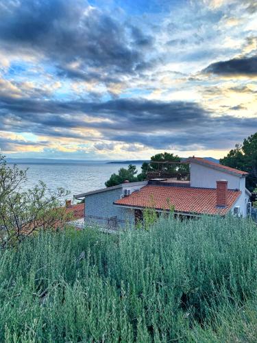 Фотография гостевого дома Villa AMore Brela