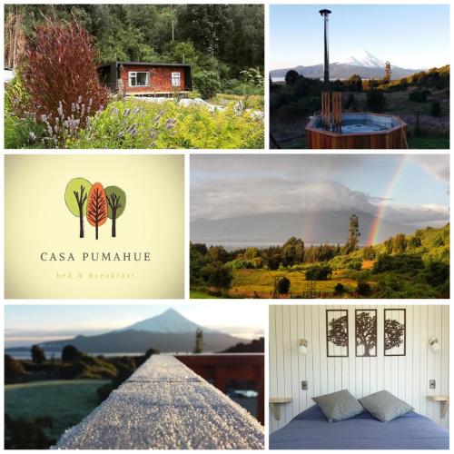 Фотография мини отеля Casa Pumahue