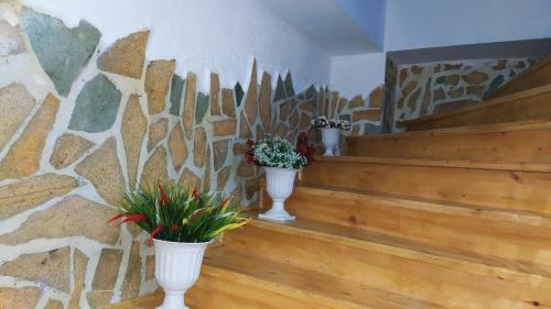 Фотография апарт отеля M.M