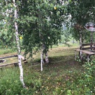 Фотография кемпинга На Земляничной, 45