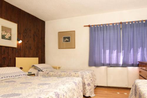 Фотография гостиницы Hotel Antártida