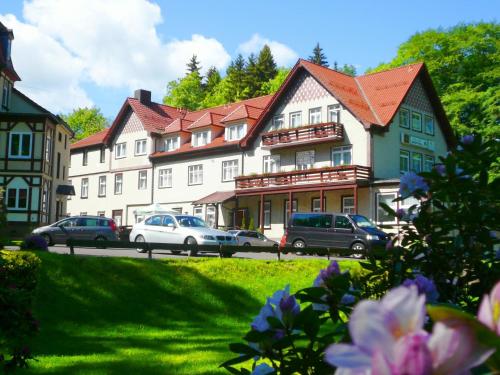 Фотография гостиницы Waldhotel Friedrichroda