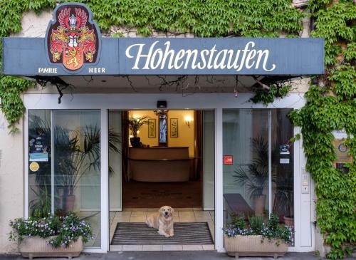 Фотография гостиницы Hotel Hohenstaufen