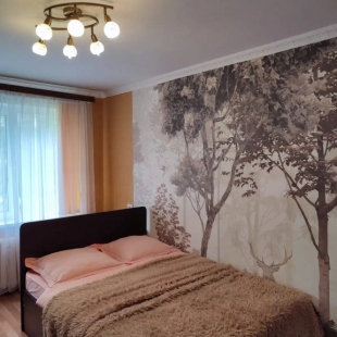 Фотография квартиры Квартира 1 комнатная в Суздале