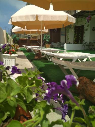 Фотография гостевого дома Волконская Венеция