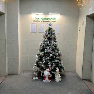 Фотография квартиры Апартаменты на улице Шеронова 8к3