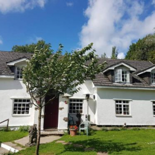 Фотография базы отдыха Coynant Farm Guesthouse - Farm Park Stay