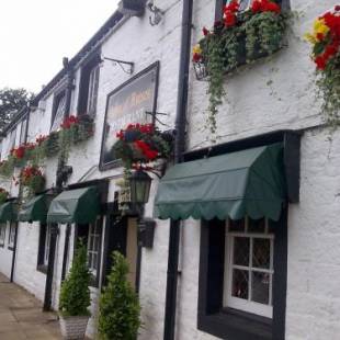 Фотографии мини отеля 
            String Of Horses