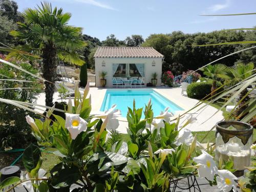 Фотография мини отеля La Thomalie