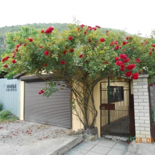 Фотография Коттеджа Частный дом Лазурное