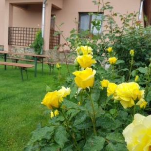 Фотография гостевого дома Casa Daria