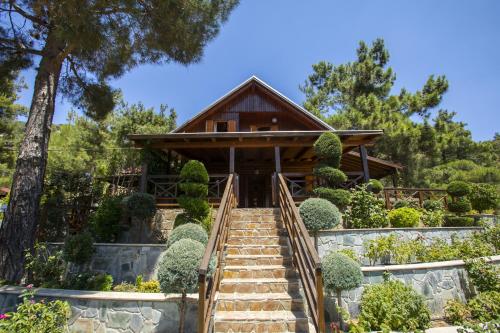 Фотография гостевого дома Ricky Chalet Near Troodos