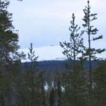 Фотография гостевого дома Holiday Home Jousimaja