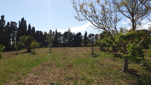 Фотография базы отдыха Azienda Agricola I Peperoncini