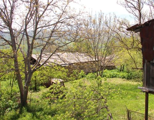 Фотография мини отеля Victoria B&B