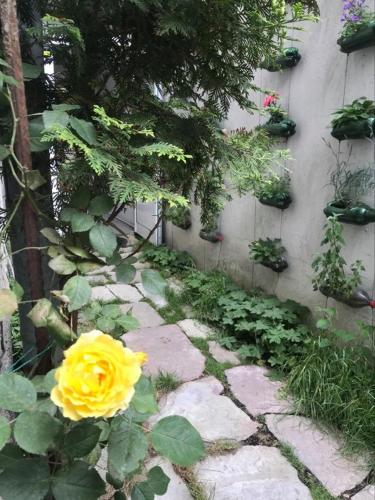 Фотографии хостела 
            Hostel Pop Bogomil