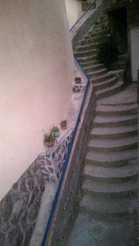 Фотография гостиницы Borjomi-Nua