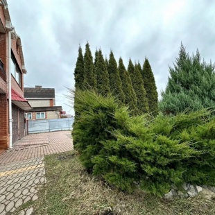 Фотография Коттеджа Коттедж в проезде 1-й Аллейный 40