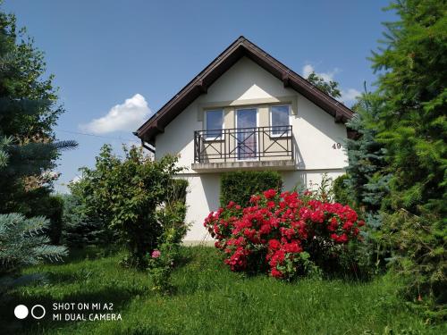 Фотография базы отдыха Noclegi Małgorzatka