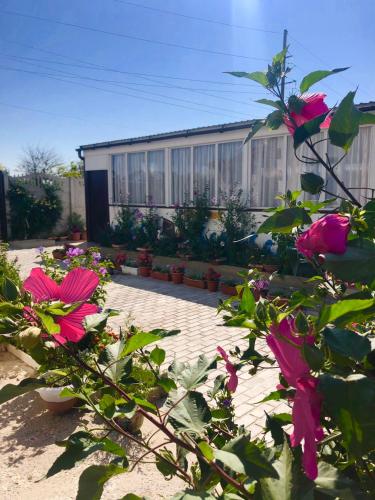 Фотография мини отеля Отдыхайка с нами