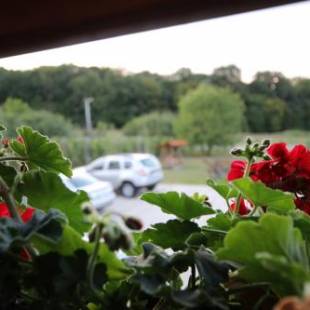 Фотография мини отеля Panorama