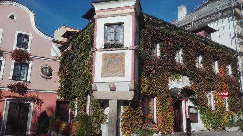 Фотография гостиницы Hotel Bílá Paní