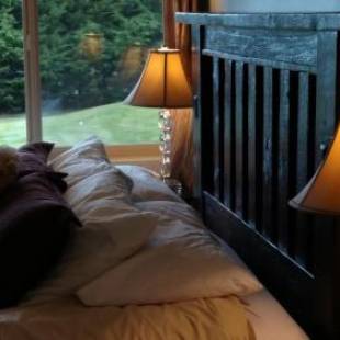 Фотографии мини отеля
Greenhouse Inn by the Bay