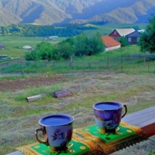 Фотография гостевого дома Gogi's Guest House