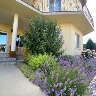 Фотография гостевого дома Вилла Сиеста