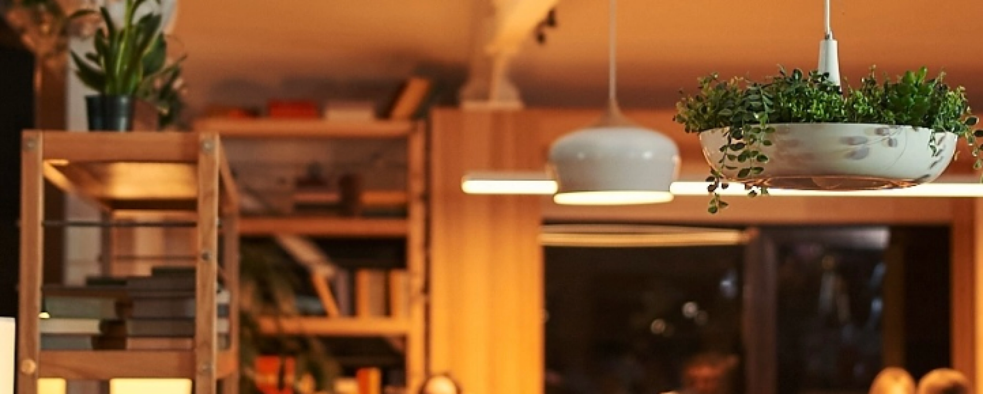 Фотографии ресторана Лес и Лис