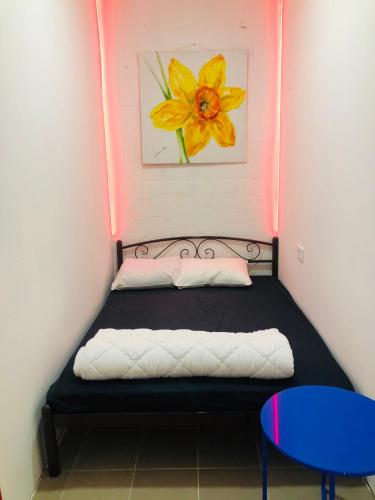 Фотографии хостела
Вокзал Автостанция Киев