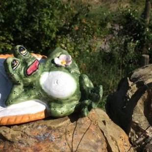 Фотографии гостевого дома
Casetta Tartuchino